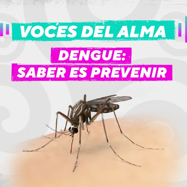 Episodio 6. Dengue: saber es prevenir