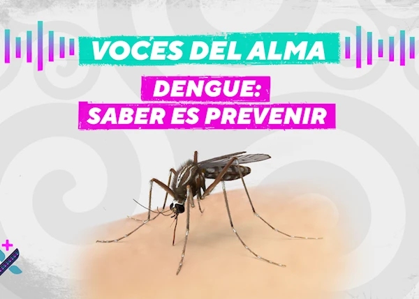 Episodio 6. Dengue: saber es prevenir