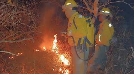 Bolivia reduce los incendios forestales