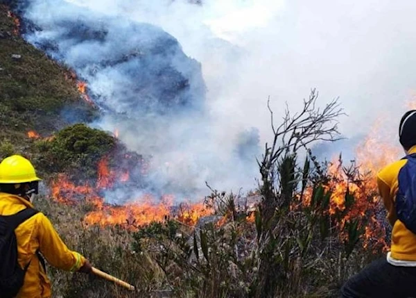 Mancomunidad Amazónica exige declarar emergencia ambiental en Perú