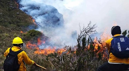 Mancomunidad Amazónica exige declarar emergencia ambiental en Perú