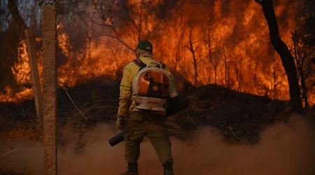 Ocho aviones de Unión Europea combaten incendios en Portugal