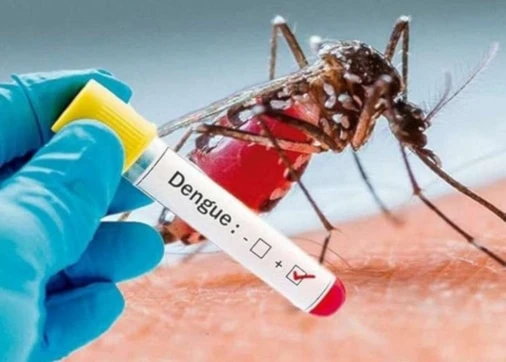 Dengue y viruela símica en aumento en Argentina