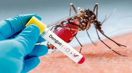 Dengue y viruela símica en aumento en Argentina