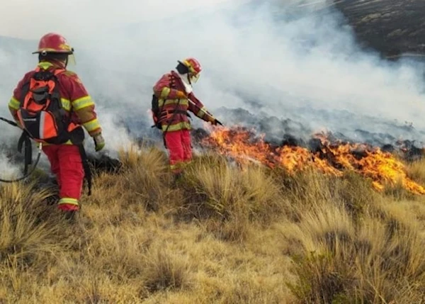 Estado de emergencia en tres regiones de Perú por incendios forestales