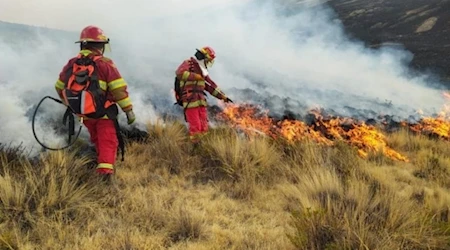 Estado de emergencia en tres regiones de Perú por incendios forestales