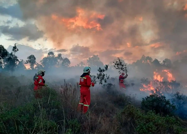 Gobierno de Perú pide a Fiscalía investigar incendios forestales