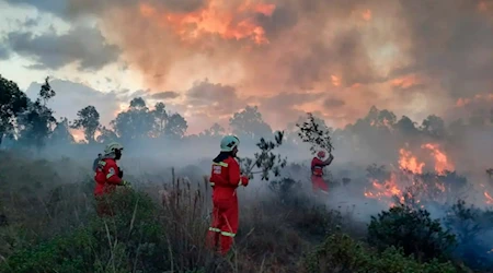 Gobierno de Perú pide a Fiscalía investigar incendios forestales