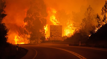 Portugal reporta más de 100 incendios forestales